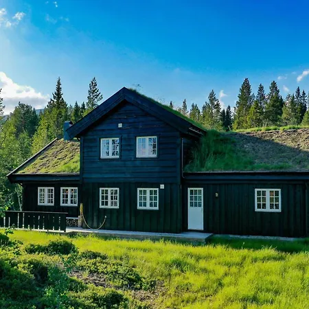 Semesterbostad Timber House With Inski Out In Trysil