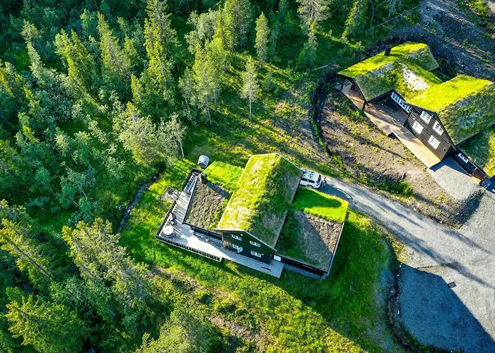 Timber House With Inski Out In Trysil